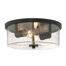 Golden 4307-FM BLK-SD - Wry Lighting Rayne 2-light Flush Mount in Matte Black